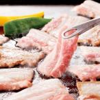 お歳暮 御歳暮 2025 ギフト しゃぶしゃぶ 鍋 お取り寄せ 送料無料 三重 さくらポーク 焼肉 冷凍便 3070036 『SKT』