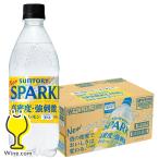 炭酸水 送料無料 サン