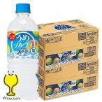 天然水 熱中症対策 送料無料 サントリー天然水 うめソルティ 540ml×2ケース/48本(048)『GCC』