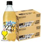 2026年3月3日新発売 炭酸飲料 送料無料 サントリー天然水 特製ジンジャーエール 500ml×2ケース/48本(048)『SUF』