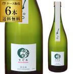 スパークリングワイン 酸化防止剤無添加 てぐみ 白 丹波ワイン 750ml 6本入 日本 デラウェア 白ワイン 辛口 ギフト プレゼント
