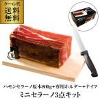 送料無料 クール代込み スペイン産 生ハム ハモンセラーノ ブロック ミニ 原木 800g ご自宅でカット 専用ホルダー キット 3点セット パーティー カワタキ