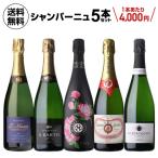 ワインセット 1本あたり4,000円(税込) 送料無料 NAOTAKA厳選シャンパーニュ5本セット 第9弾 750ml フランス シャンパン 浜運A
