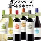 Yahoo! Yahoo!ショッピング(ヤフー ショッピング)【ポイント2倍（9日2時まで）】チリ最大のオーガニック生産者！極上の有機ワイン、ガンマの選べる６本セット　750ml×6本