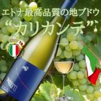 イタリアワイン テヌータ ディ フェッシナ アプッダーラ エトナ ビアンコ 地品種 カリカンテ 高評価 辛口 白ワイン シチリア 贈答品 プレゼント お祝い