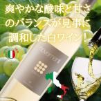 白ワイン 辛口 ノヴェメンティ ビアンコ イタリア プーリア州