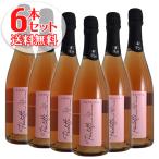 ワインセラーエスカルゴの商品画像