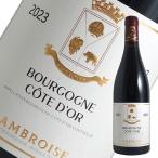 ワインセラーエスカルゴの商品画像