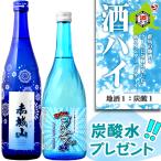 酒ハイセット　生貯蔵酒 720ml×2本　赤城山すずさけ純米　船尾瀧　ガツンとコイナマさん　夏　花火　すぐ楽しめる