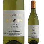 . болото. .....[2023]. дракон .. sake 