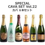 【送料無料】＜第22弾＞カバ6本セット（白泡5、ロゼ泡1）スペイン　辛口　カヴァ　Cava