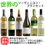 【送料無料】＜第44弾＞世界のソーヴィニヨン・ブランセット（白6本）