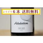  красный вино Pinot nowa-ru2023ate. рацион 750ml [....6шт.@ бесплатная доставка / обязательно описание товара . подтвердите пожалуйста ]