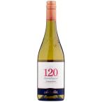  белый вино 2023 солнечный talita120 автомобиль rudone Chile 750ml