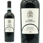 アリアニコ・デル・ヴルトゥレ 2021 カンティーナ・ディオメーデ 750ml （イタリア 赤ワイン）