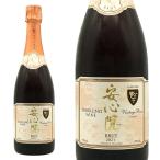 安心院スパークリングワイン ロゼ(高級シャンパン方式)ブリュット ヴィンテージ 2021年 安心院産メルロー＆カベルネ ソーヴィニヨン 日本 スパーク