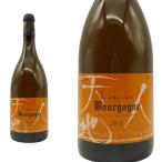 ブルゴーニュ シャルドネ(ブラン) 2021 セラー出し品 フレンチオーク樽驚異の16ヶ月熟成 グラン ファン100％　ルー デュモン シャルドネ