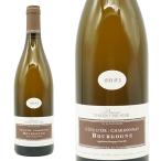 ブルゴーニュ シャルドネ 2021 蔵出し限定輸入品 ドメーヌ ヴァンサン プリュニエ(プルニエ)元詰 AOCブルゴーニュ シャルドネ