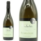 ブルゴーニュ・シャルドネ ヴィエイユ・ヴィーニュ クロ・サン・ジェルマイン 2023年 ドメーヌ・ロシュバン 750ml (ブルゴーニュ 白ワイン)