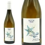 グラン フィエフ ド ラ コルムレ 2021 蔵出し作品 ドメーヌ ギュンテ シェロー元詰 AOC ミュスカデ エ メーヌ シュールリー 自然派