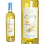 Yahoo! Yahoo!ショッピング(ヤフー ショッピング)バレ・ドクトーブル  ジュランソン・モワルー  2015年  ドメーヌ・コアペ  750ml  （フランス  白ワイン）  家飲み  巣ごもり