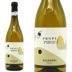 ショッピングお歳暮 2023 プローペ トレッビアーノ ダブルッツォ 2023 ヴェレノージ社 DOCトレッビアーノ アブルッツォ 白 辛口 750ml