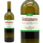 グラッタマッコ ビアンコ 2023 グラッタマッコ