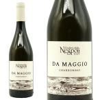 dama geo автомобиль rudoneforuli2024pote-lida Rene spo li