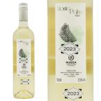 モンテ パルマ ヴェルデホ 2023 ボデガス チェロッソル元詰 D.O.ルエダ