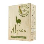 【大容量3L】サンタ・�