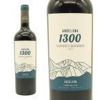 アンデルーナ カベルネ ソーヴィニヨン 2021 アンデルーナ セラーズ元詰 アルゼンチン メンドーサ 赤 フルボディ 辛口 ヴィーガン認証