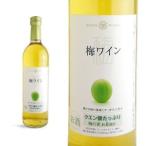 マンズワイン  梅ワイン  やや甘口  スクリューキャップ  （日本・白ワイン）｜666円均一ワイン  家飲み  巣ごもり  応援