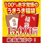 うきうき福袋1万5千円de辛口赤・白ワイン10本セット