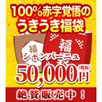 ショッピングウェディング うきうき福袋5万円de超希少シャンパーニュ10本セット【Cセット】