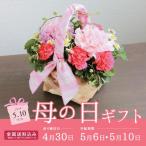 母の日ギフト 2020 花 送料無料 ナチュレフラワー(ピンクリボン) MR37-18 家飲み 巣ごもり 応援 stay home