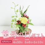 母の日ギフト 2020 花 送料無料 和風こけ玉アレンジ MR37-29 家飲み 巣ごもり 応援 stay home