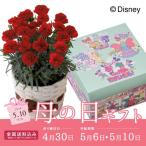 母の日ギフト 2020 花 スイーツ 洋菓子 送料無料 カーネーション(感謝の気持ち)&銀座コージーコーナー」ディズニースイーツギフト R40-8