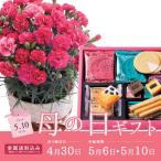 母の日ギフト  2020  花  スイーツ  洋菓子  送料無料  カーネーション（マカロンフレーズ）＆上野風月堂」ゴーフルアソート  R40-7