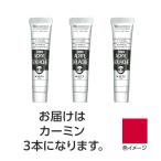 �^�[�i�[ �A�N�����K�b�V�� 20ml 22�J�[�~�� 3��
