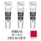�^�[�i�[ �A�N�����K�b�V�� 100ml 22�J�[�~�� 3��