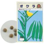 野菜の種 オクラ