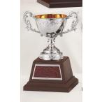 [C1731C/K-8] чемпионский кубок | высота 23.5cm