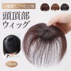 ショッピングウィッグ 頭頂部ウィッグ レディース ショート 自然 ヘアピース 薄毛 白髪隠し かつら カツラ ストレート 黒髪 普段使い 女性用 15cm つむじ 可愛い