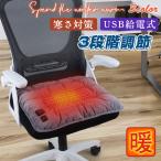 ホットマット クッション ホットカーペット USB給電式 電熱 一人用 ミニ 椅子 座布団 車用 寒さ対策 厚手 保温 冬物 無地 3段階調節