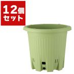 楽々菜園 丸型 サラダグリーン ×12個 アップルウェアー 野菜 プランター おしゃれ 植木鉢 スリット鉢 ガーデニング おしゃれ プランター 野菜 菜園プランター