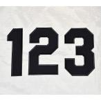  Hanshin Tigers . номер нашивка ( действующий версия * чёрный земля чёрный .)