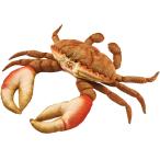 BH6312 HANSA краб orange 35cm