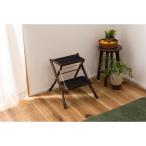 AZUMAYA(東谷) 耐荷重100kg ちょっとした椅子としても使えるアシスタ ステップ台 ブラウン 2段  滑りにくい  グリップ付き｜PC-334BR(4985155121755)