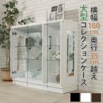 コレクションケース 100 ロータイプ 