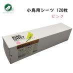 小鳥用シーツ 120枚 ピンク